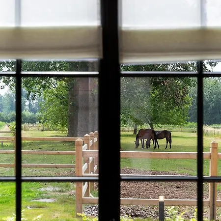 Haras De Barry Sainghin-en-Mélantois